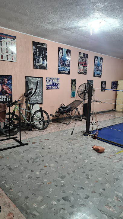 12 Asaltos Academia de Boxeo en San Juan Bautista Tuxtepec