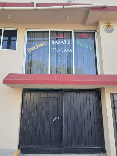 Academia Intence Dance en Nicolás Romero