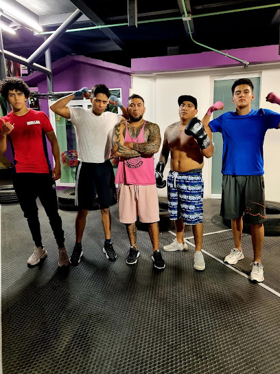 Academia Puños de Acero en Naucalpan