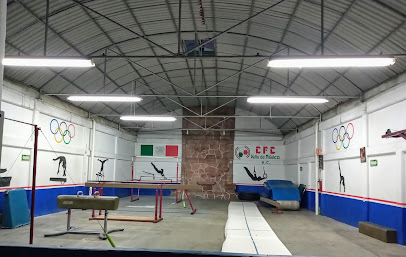 Academia de Gimnasia Olimpica Ormuz en Tlalnepantla
