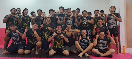 Academia de Mma - Cobra Team en Ciudad del Carmen