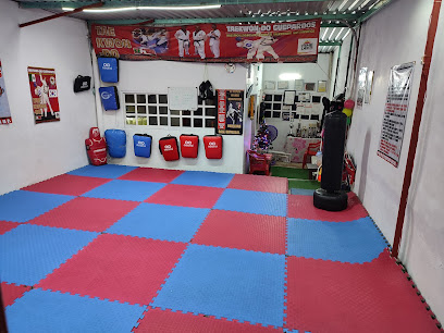 Academia de Taekwondo Guepardos Escuelas Lara en Ciudad del Carmen