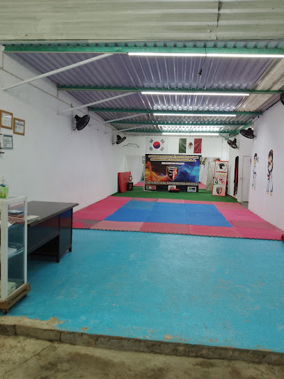 Academia de Taekwondo Panteras. en Ciudad del Carmen