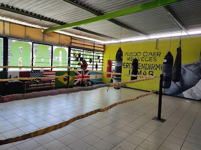 Active Sport Gym en León