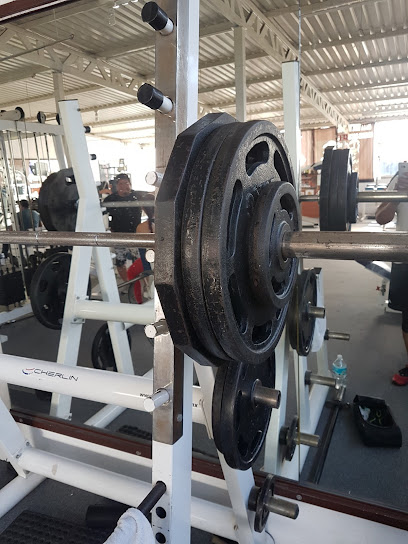 Albatros Gym Muscle Factory en Iztapalapa