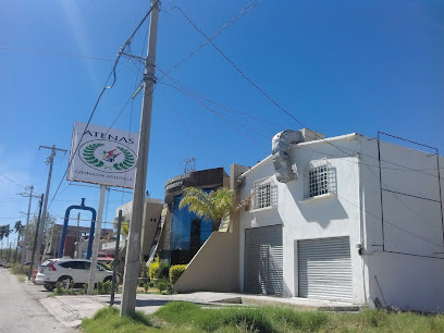 Atenas Gimnasia Artística en Monclova