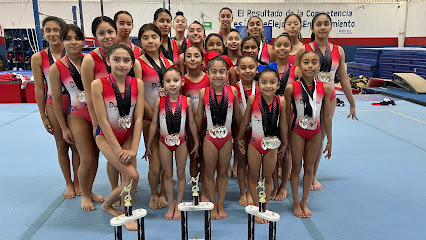 Baja Dynamo en Ensenada