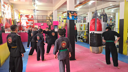 Bear Fitness Gym en Venustiano Carranza
