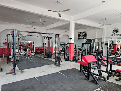 Bios Gym Fcb. en Escárcega