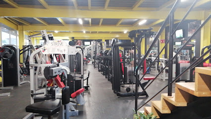 Body For Life Gym en Celaya