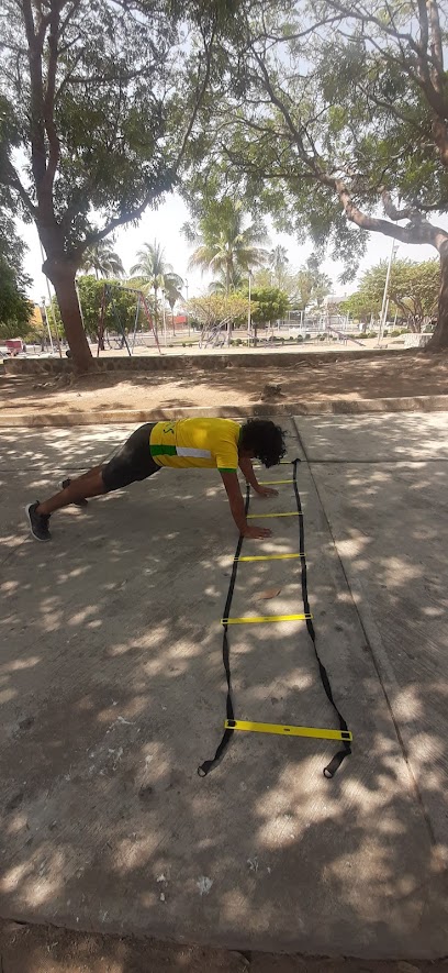 Bushido Dojo Entrenamiento Funcional y Karate Do en Villa de Álvarez