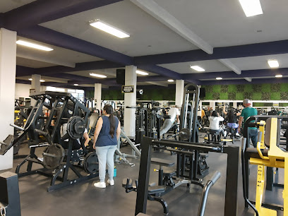 Cesar's Gym en Tizayuca