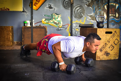 Crossrowing Box en Ciudad del Carmen