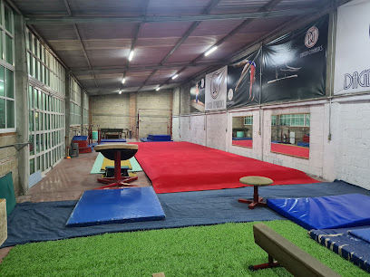 Dagda Gymnastics Academia de Gimnasia Artística en López Mateos