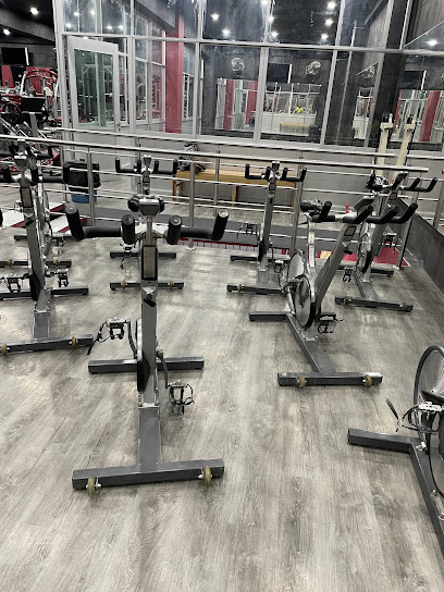 Dominio Fitness en Durango