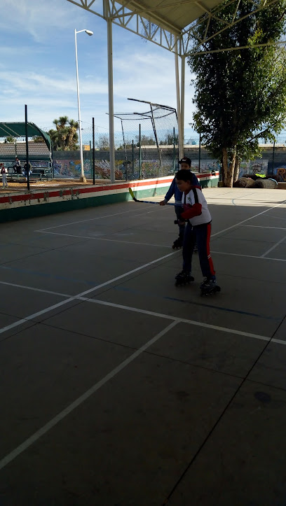 Domo Gimnasio Solidaridad en Fresnillo