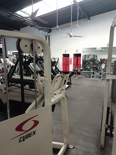 El Templo Gym en Colima