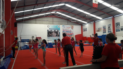 Escuela de Gimnasia Olímpica Iragym (Génova 587) en Irapuato