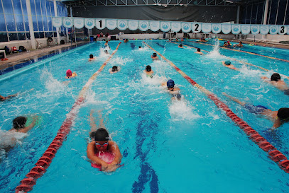 Escuela de Natación Delfines del Bosque en Irapuato