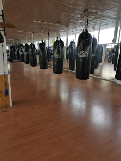 Evolution Gym Center en Miguel Hidalgo