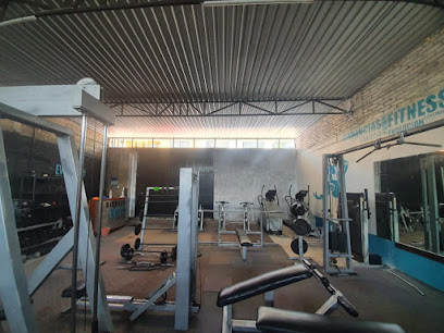 Evolution Platinum en Compostela
