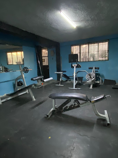 Fitness Force en Chihuahua