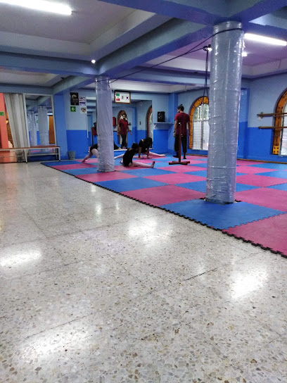 Fitness Starbien en Álvaro Obregón