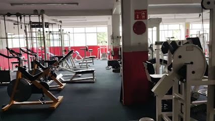 Gimnasio Castillo's en Gustavo A. Madero