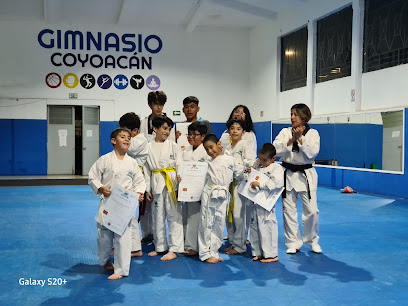 Gimnasio Coyoacan en Coyoacán