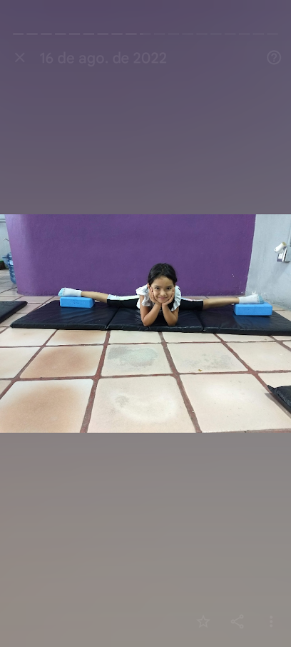 Gira Gimnasia Artística en Celaya