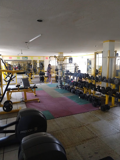 Gym Hulk en Celaya