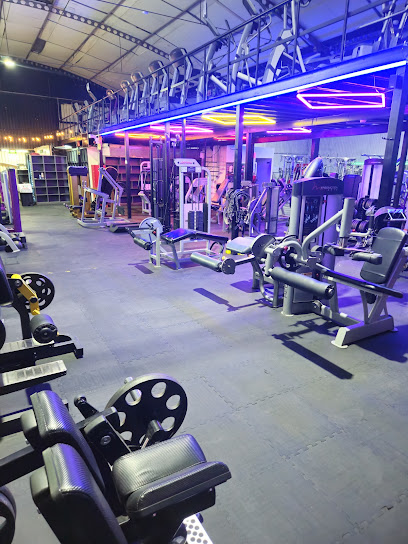 Gym Insport en León