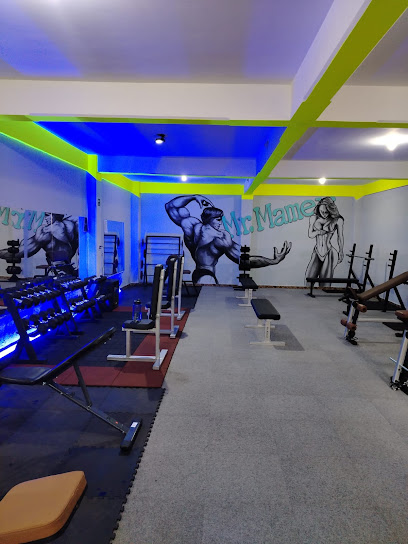 Gym Mr.Mamer en Tizayuca