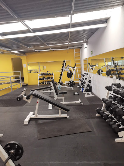 Haro Gym Morelos en Venustiano Carranza