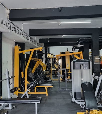 Healthy Gym en Chihuahua
