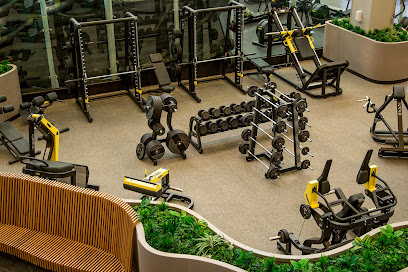 Kinezis Fit en Tlalnepantla