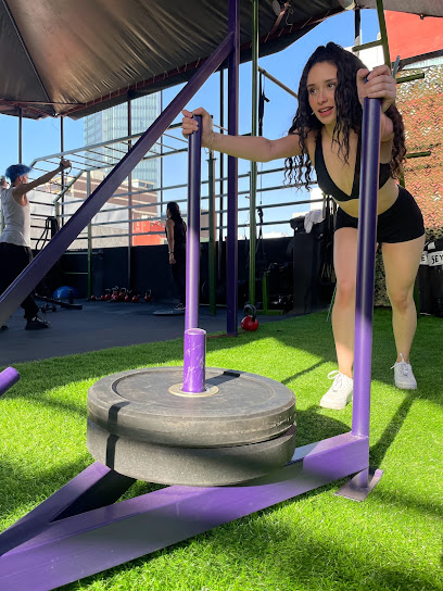 La Jungla Gym en Cuauhtémoc