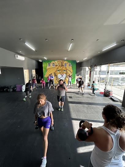 Lion Training Center Plaza 450 en Durango