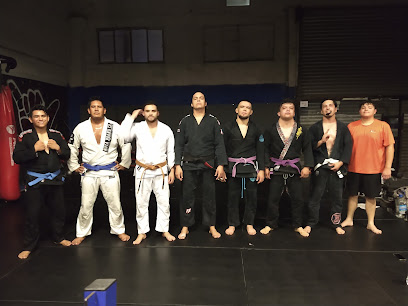 Master Gym & Bjj Chihuahua en Chihuahua