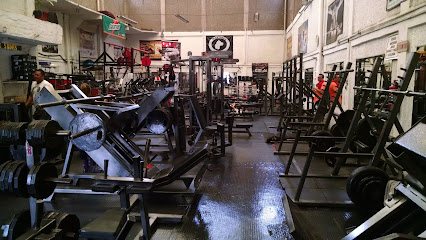 Mastines Gym en Venustiano Carranza