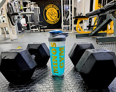 Minos Gym en Durango