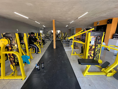 Monkey Gym 5 de Mayo en Toluca
