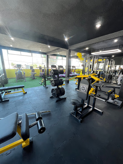 Muscle Factory Gym Nr en Nicolás Romero