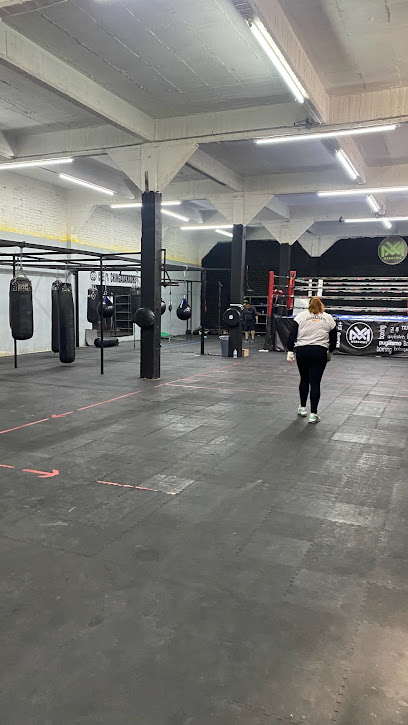 Mx Boxing Club en León