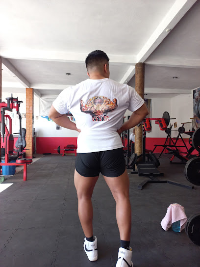 Old School Gym en Irapuato