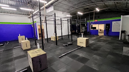 Ollinco Crossfitness en Miguel Hidalgo