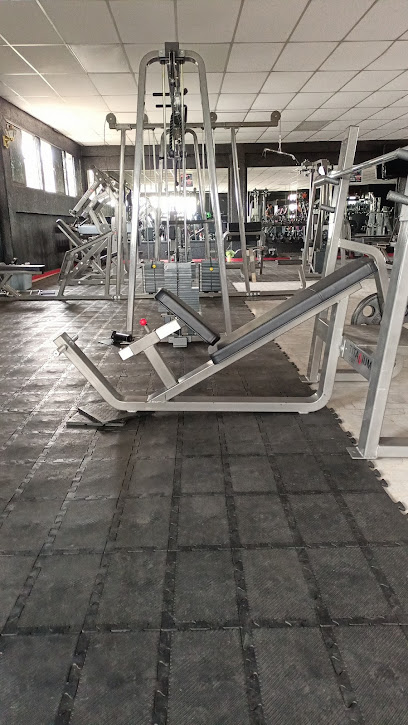 Olympus Gym Aguascalientes en Aguascalientes