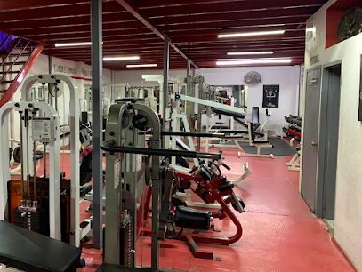 Olympus Gym & Fitness en León