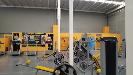Olympus Gym en Cd. Constitución