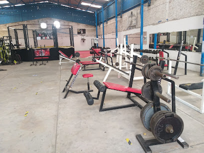 Olympus Gym en Celaya